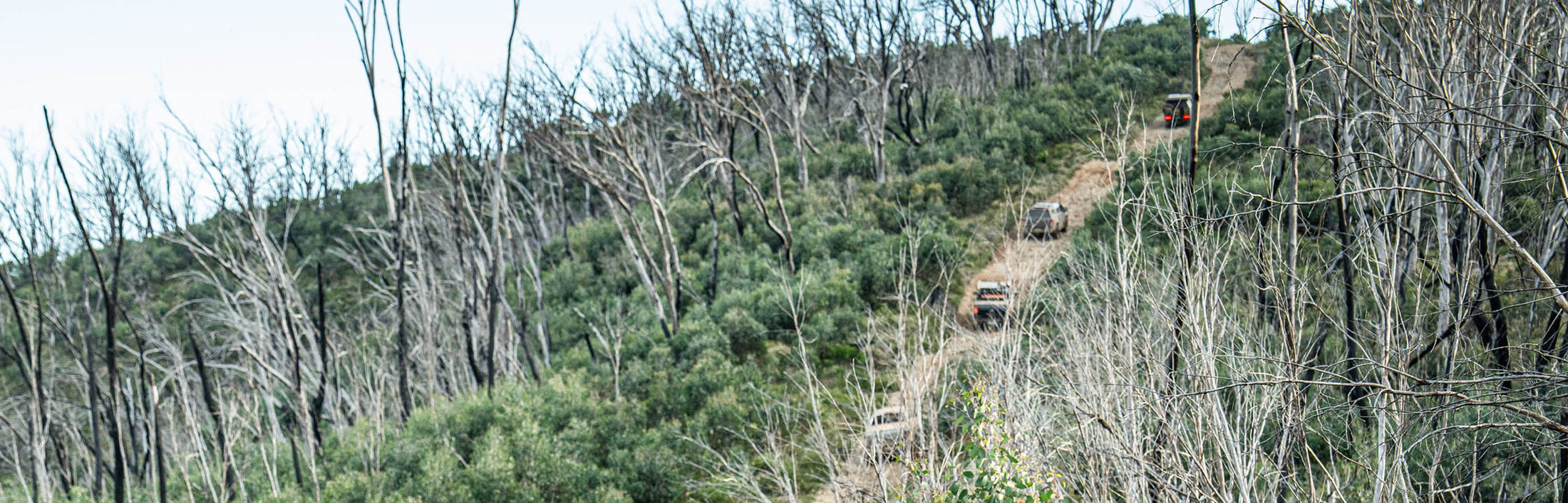 4x4 Wheel Specials - Limited Time