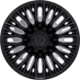 WheelWebOnCar