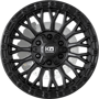 WheelWebOnCar