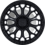 WheelWebOnCar