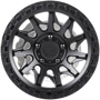 WheelWebOnCar