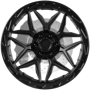 WheelWebOnCar