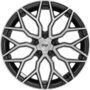 WheelWebOnCar