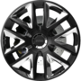 WheelWebOnCar