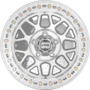 WheelWebOnCar